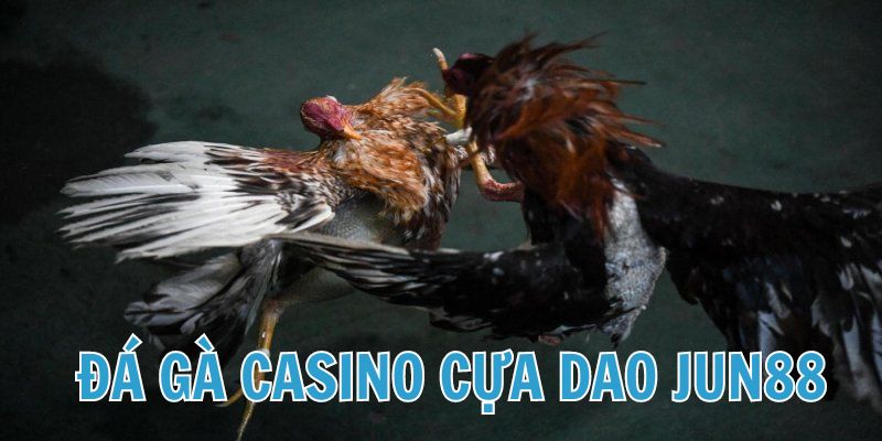 Thể loại đá gà Casino cựa dao phổ biến được cập nhật tại Jun88