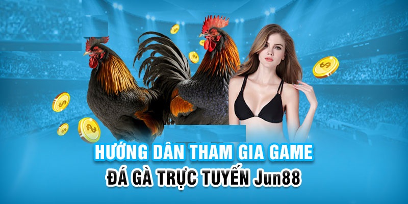 Cách tham gia đá gà tại nhà cái