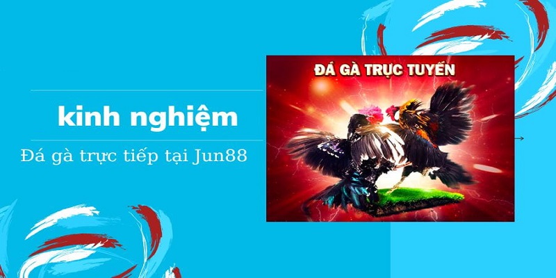 Kinh nghiệm chiến đấu thắng chắc từ cao thủ